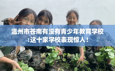 温州市苍南有没有青少年教育学校:这十家学校表现惊人! 温州市苍南有没有青少年教育学校:这十家学校表现惊人!