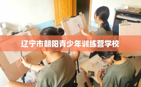 辽宁市朝阳青少年训练营学校
