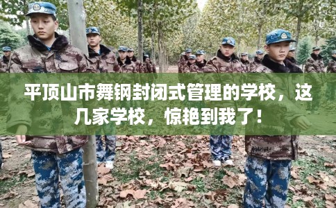 平顶山市舞钢封闭式管理的学校，这几家学校，惊艳到我了！