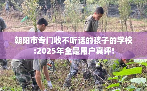 朝阳市专门收不听话的孩子的学校:2025年全是用户真评! 朝阳市专门收不听话的孩子的学校:2025年全是用户真评!
