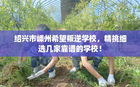 绍兴市嵊州希望叛逆学校，精挑细选几家靠谱的学校！