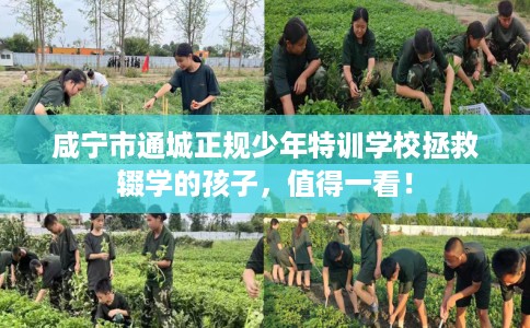 咸宁市通城正规少年特训学校拯救辍学的孩子,值得一看! 咸宁市通城正规少年特训学校拯救辍学的孩子,值得一看!