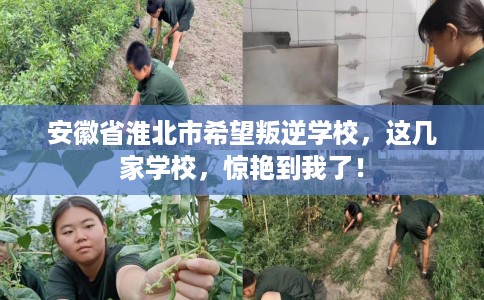 安徽省淮北市希望叛逆学校，这几家学校，惊艳到我了！