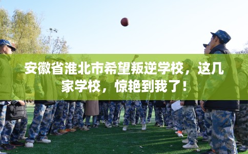 安徽省淮北市希望叛逆学校，这几家学校，惊艳到我了！