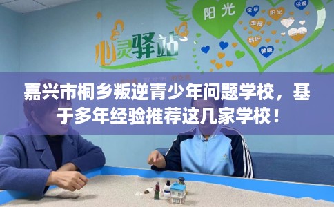 嘉兴市桐乡叛逆青少年问题学校，基于多年经验推荐这几家学校！