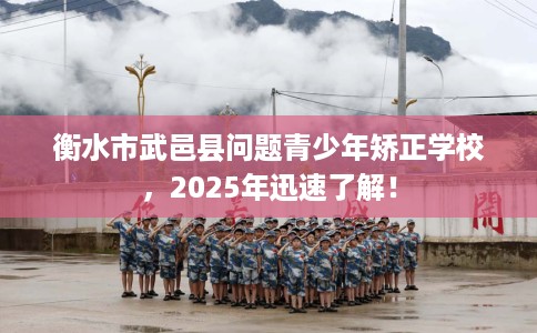 衡水市武邑县问题青少年矫正学校，2025年迅速了解！