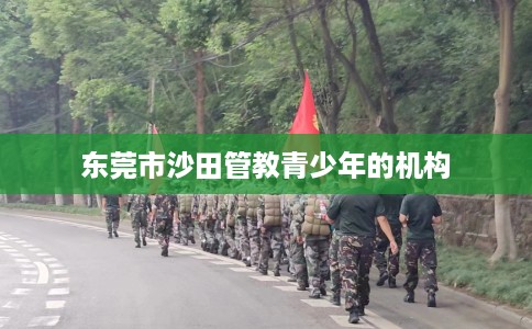 东莞市沙田管教青少年的机构