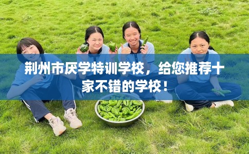荆州市厌学特训学校，给您推荐十家不错的学校！