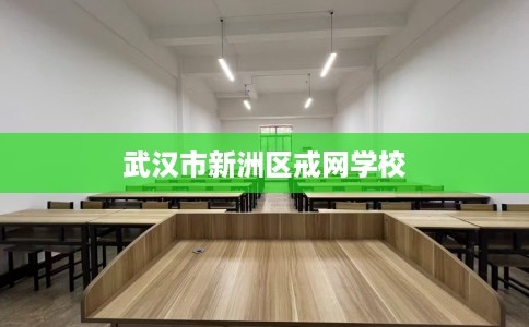 武汉市新洲区戒网学校 武汉市新洲区戒网学校