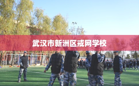 武汉市新洲区戒网学校