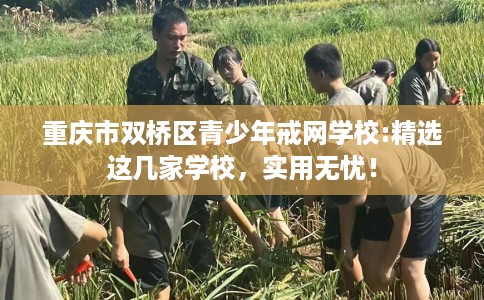 重庆市双桥区青少年戒网学校:精选这几家学校，实用无忧！