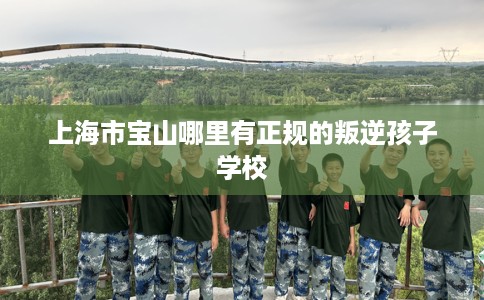 上海市宝山哪里有正规的叛逆孩子学校