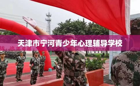 天津市宁河青少年心理辅导学校