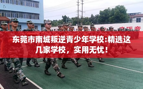东莞市南城叛逆青少年学校:精选这几家学校，实用无忧！