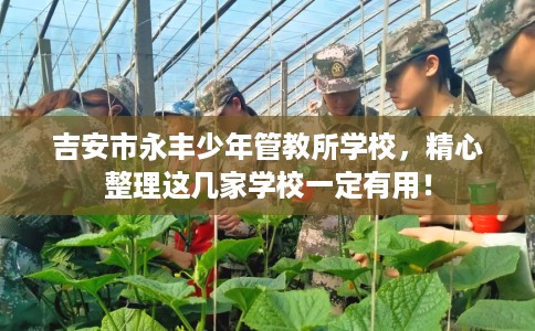 吉安市永丰少年管教所学校,精心整理这几家学校一定有用! 吉安市永丰少年管教所学校,精心整理这几家学校一定有用!