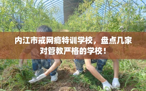 内江市戒网瘾特训学校，盘点几家对管教严格的学校！