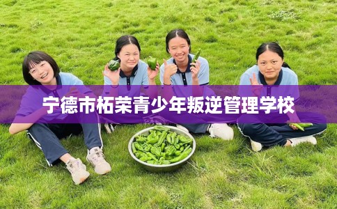 宁德市柘荣青少年叛逆管理学校 宁德市柘荣青少年叛逆管理学校
