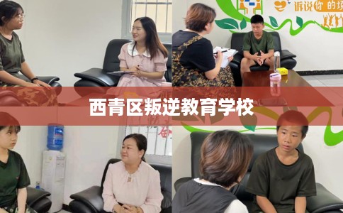 西青区叛逆教育学校