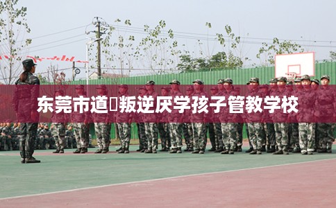 东莞市道滘叛逆厌学孩子管教学校