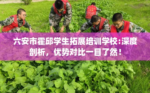 六安市霍邱学生拓展培训学校:深度剖析，优势对比一目了然！