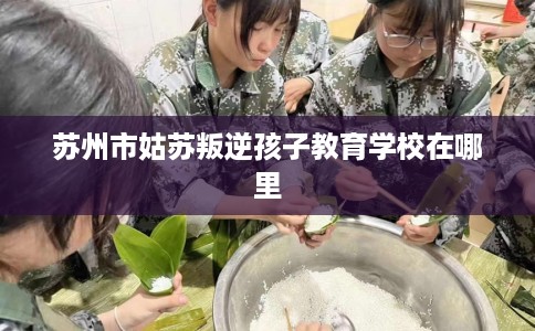 苏州市姑苏叛逆孩子教育学校在哪里