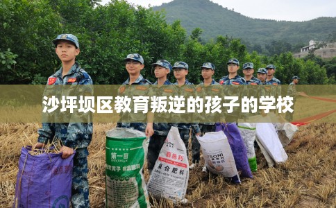 沙坪坝区教育叛逆的孩子的学校