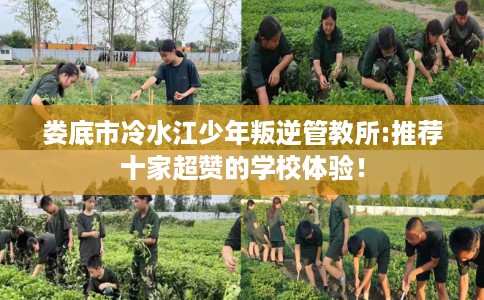 娄底市冷水江少年叛逆管教所:推荐十家超赞的学校体验! 娄底市冷水江少年叛逆管教所:推荐十家超赞的学校体验!
