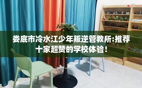 娄底市冷水江少年叛逆管教所:推荐十家超赞的学校体验！