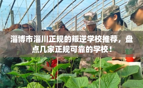 淄博市淄川正规的叛逆学校推荐，盘点几家正规可靠的学校！