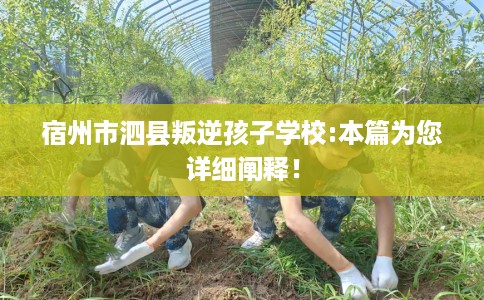 宿州市泗县叛逆孩子学校:本篇为您详细阐释！