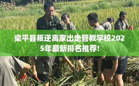 梁平县叛逆离家出走管教学校2025年最新排名推荐! 梁平县叛逆离家出走管教学校2025年最新排名推荐!