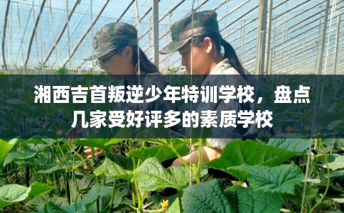 湘西吉首叛逆少年特训学校,盘点几家受好评多的素质学校 湘西吉首叛逆少年特训学校,盘点几家受好评多的素质学校