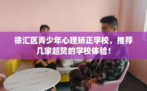 徐汇区青少年心理矫正学校，推荐几家超赞的学校体验！