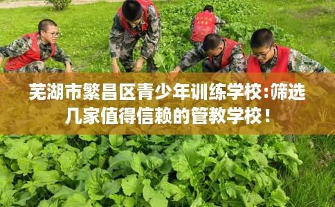 芜湖市繁昌区青少年训练学校:筛选几家值得信赖的管教学校！