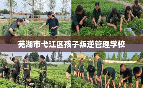 芜湖市弋江区孩子叛逆管理学校