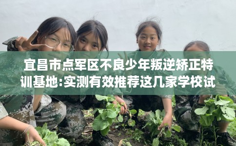 宜昌市点军区不良少年叛逆矫正特训基地:实测有效推荐这几家学校试试看! 宜昌市点军区不良少年叛逆矫正特训基地:实测有效推荐这几家学校试试看!