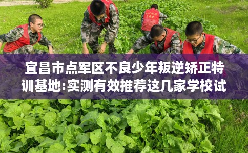 宜昌市点军区不良少年叛逆矫正特训基地:实测有效推荐这几家学校试试看！