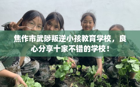 焦作市武陟叛逆小孩教育学校，良心分享十家不错的学校！