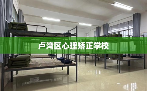 卢湾区心理矫正学校 卢湾区心理矫正学校