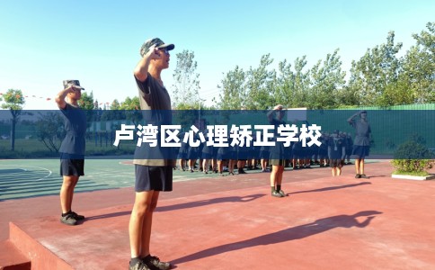 卢湾区心理矫正学校 卢湾区心理矫正学校