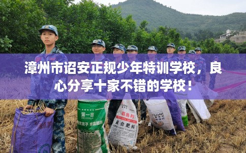 漳州市诏安正规少年特训学校，良心分享十家不错的学校！
