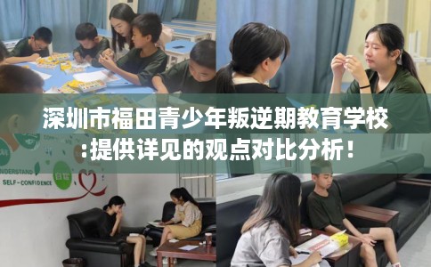 深圳市福田青少年叛逆期教育学校:提供详见的观点对比分析！