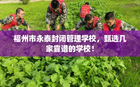 福州市永泰封闭管理学校,甄选几家靠谱的学校! 福州市永泰封闭管理学校,甄选几家靠谱的学校!