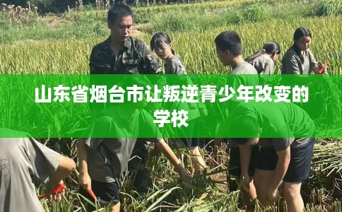 山东省烟台市让叛逆青少年改变的学校