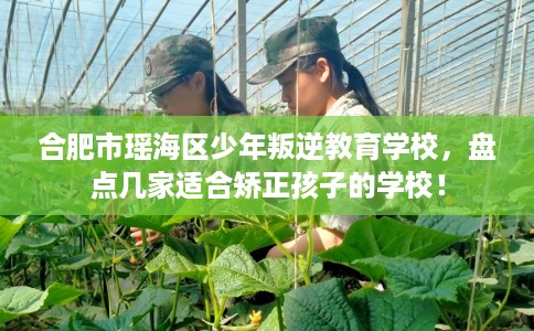 合肥市瑶海区少年叛逆教育学校，盘点几家适合矫正孩子的学校！