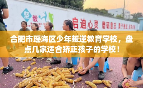 合肥市瑶海区少年叛逆教育学校，盘点几家适合矫正孩子的学校！