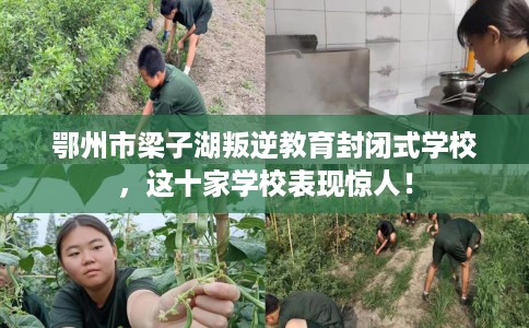 鄂州市梁子湖叛逆教育封闭式学校，这十家学校表现惊人！