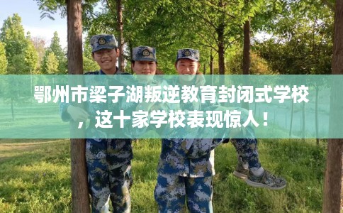 鄂州市梁子湖叛逆教育封闭式学校，这十家学校表现惊人！