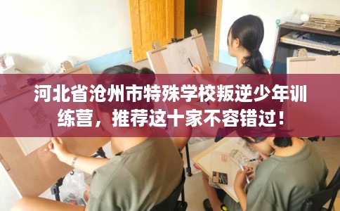河北省沧州市特殊学校叛逆少年训练营，推荐这十家不容错过！