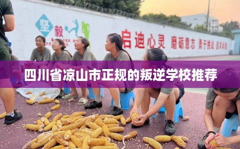 四川省凉山市正规的叛逆学校推荐